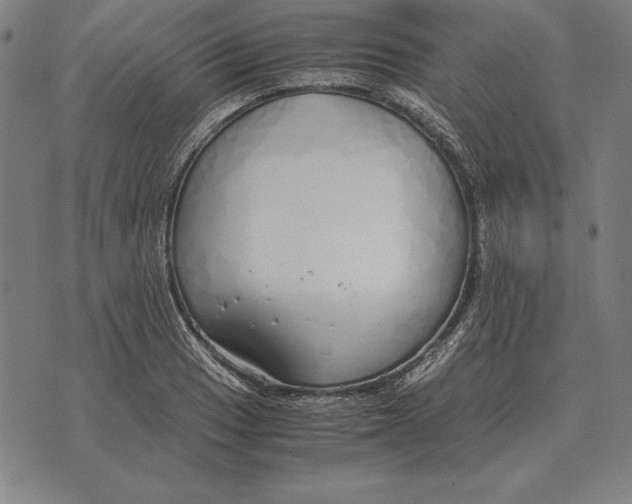 X0000071831033200607211756