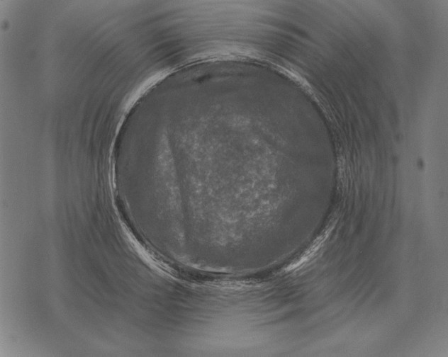 X0000071831034200607211756