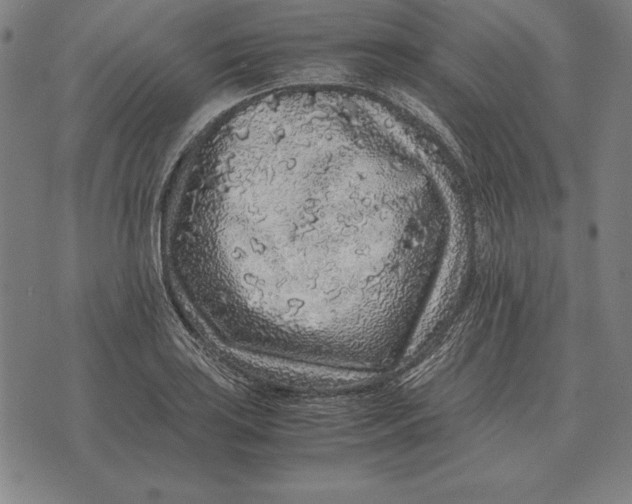 X0000071831035200607211756