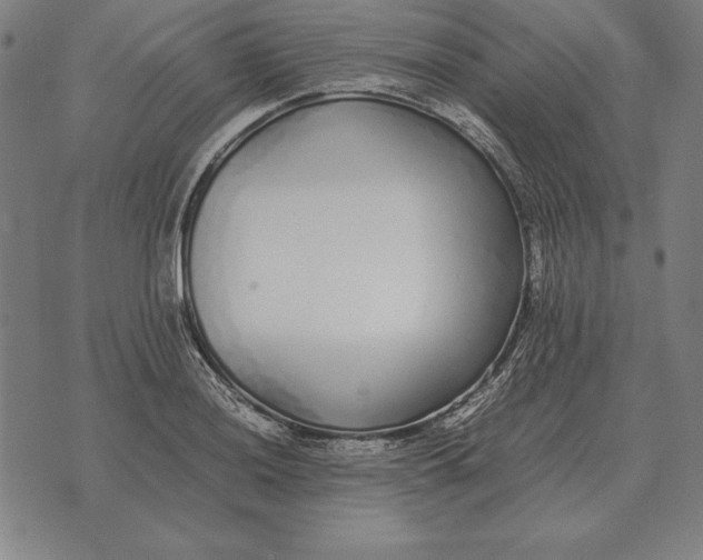 X0000071831036200607211756