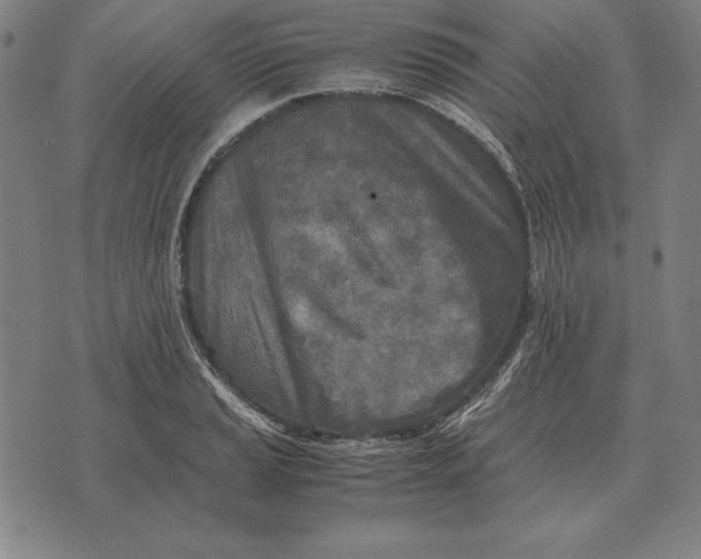 X0000071831037200607211756