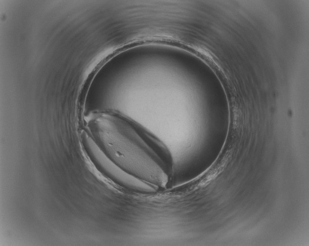 X0000071831038200607211756