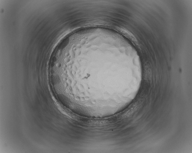 X0000071831039200607211757