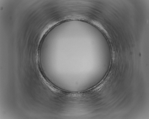 X0000071831040200607211757