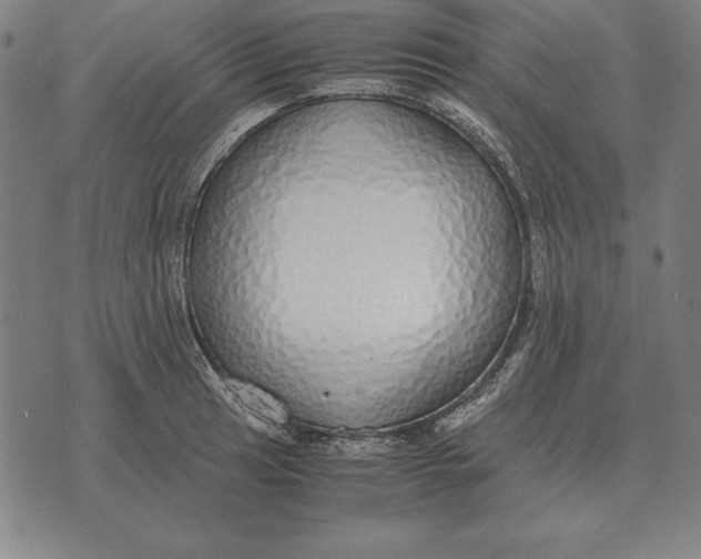 X0000071831041200607211757