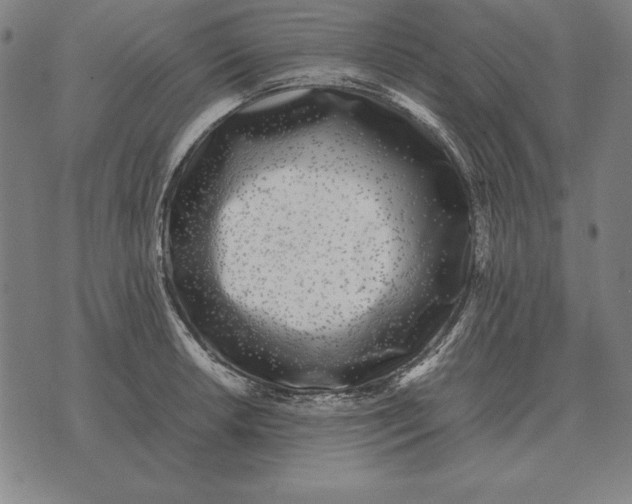 X0000071831042200607211757