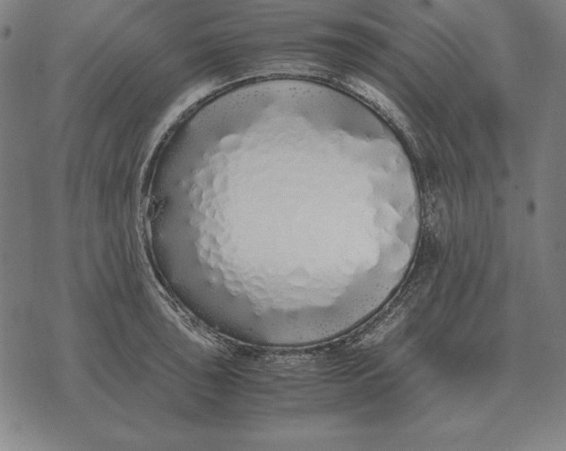 X0000071831043200607211757