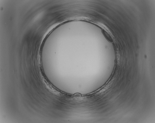 X0000071831044200607211757