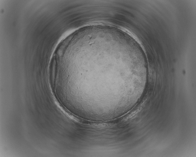 X0000071831045200607211757