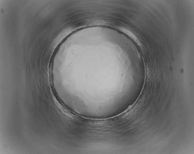 X0000071831047200607211757