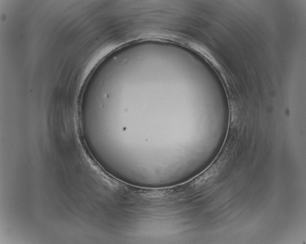 X0000071831048200607211757