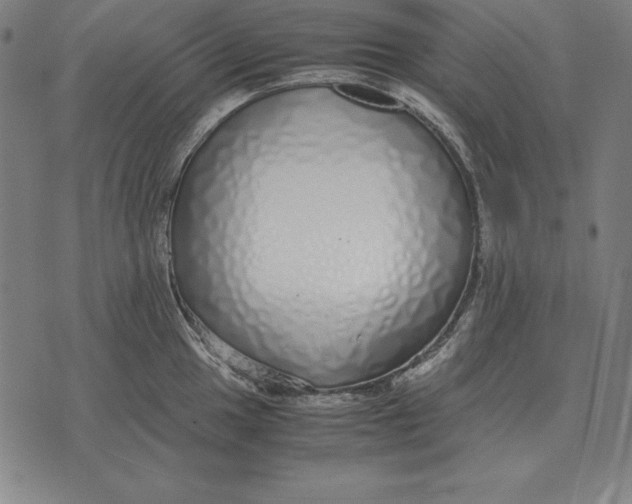 X0000071831049200607211757