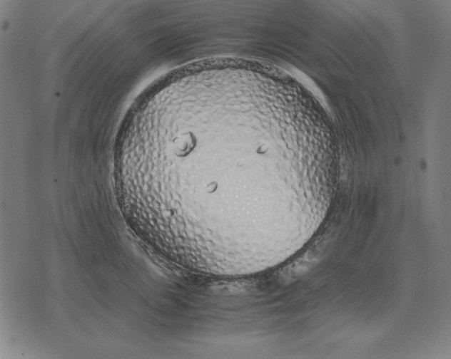 X0000071831051200607211757