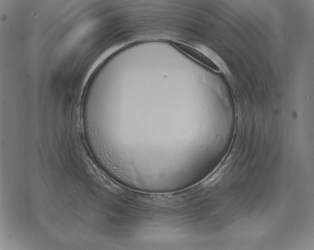 X0000071831052200607211757