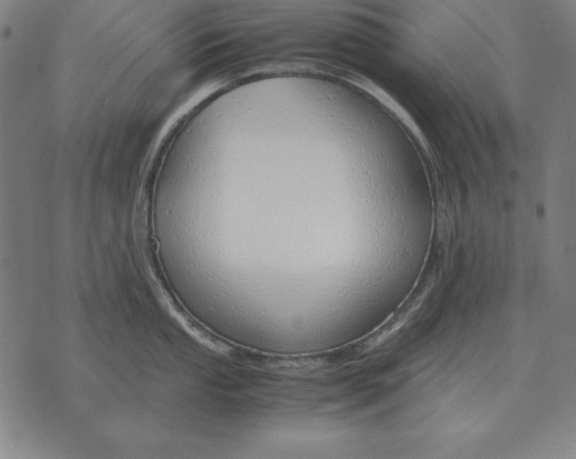 X0000071831053200607211757