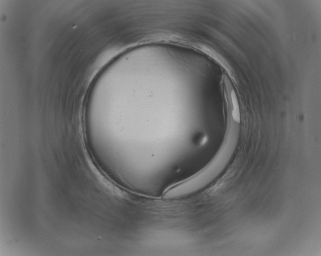 X0000071831055200607211757