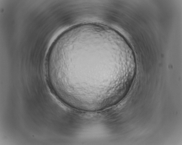 X0000071831056200607211757