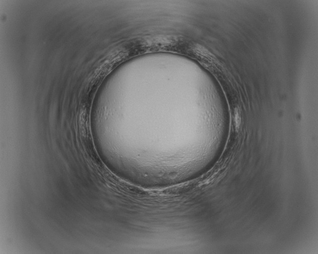 X0000071831059200607211756