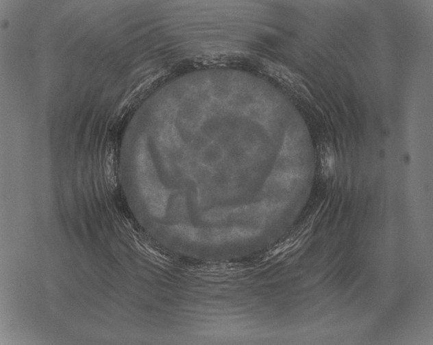 X0000071831060200607211756