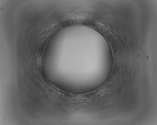 X0000071831061200607211756