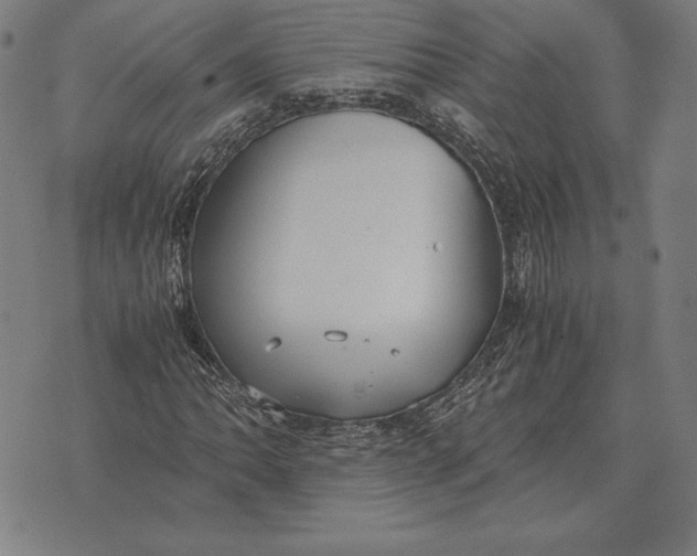 X0000071831062200607211756