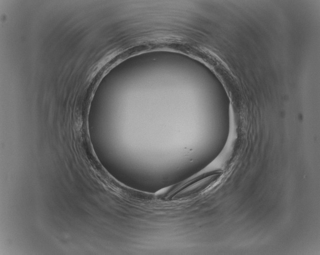 X0000071831065200607211756