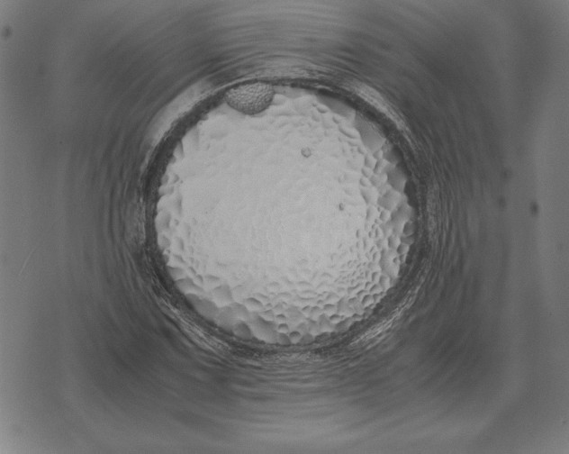 X0000071831067200607211756