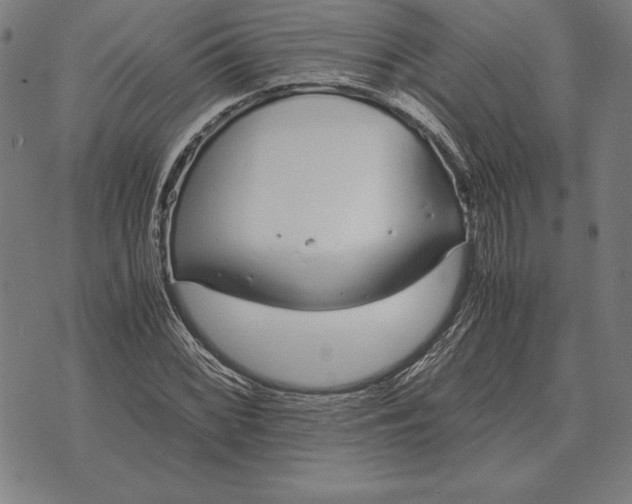 X0000071831068200607211756