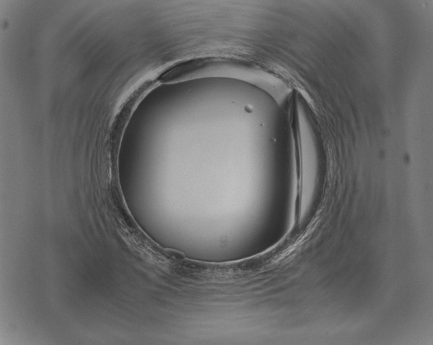 X0000071831069200607211756