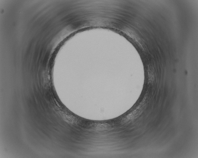 X0000071831070200607211756