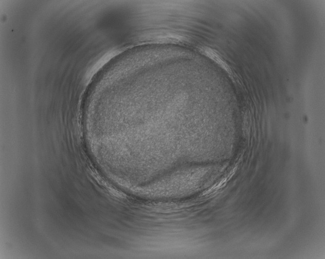 X0000071831071200607211756