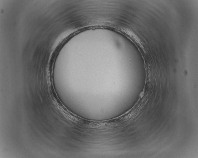 X0000071831072200607211756