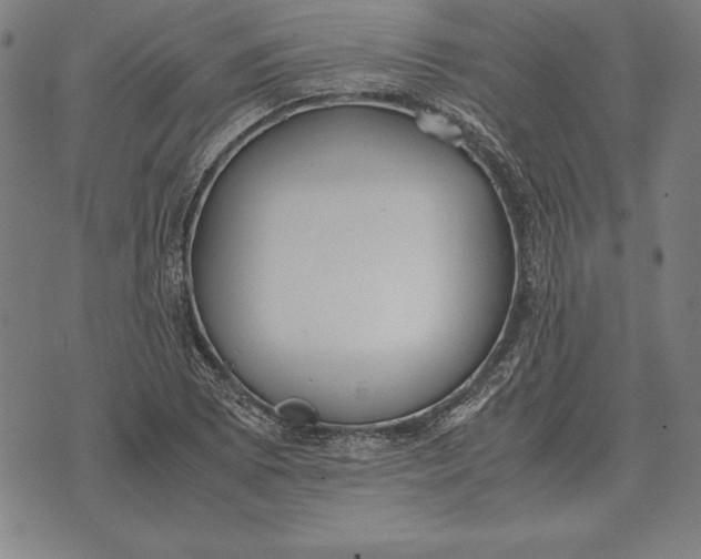 X0000071831073200607211756