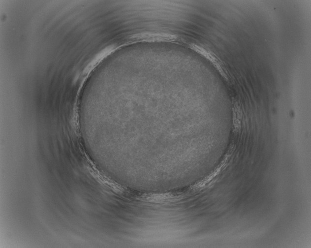 X0000071831074200607211756