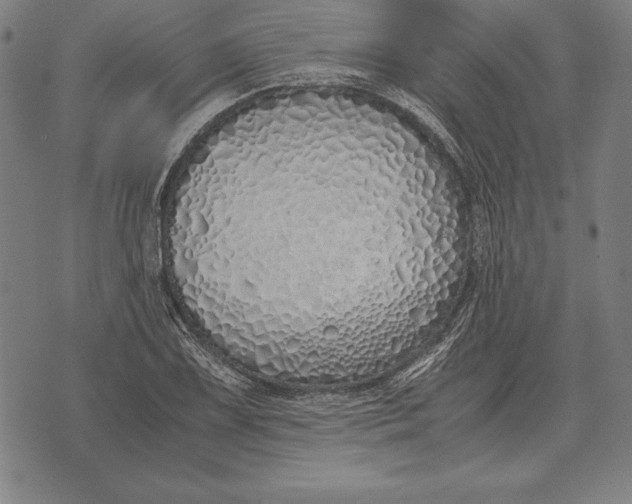 X0000071831075200607211756