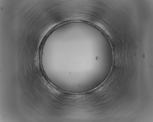 X0000071831076200607211756