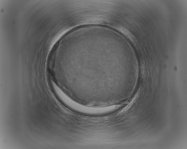 X0000071831077200607211756