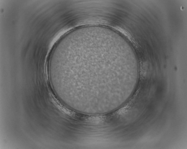 X0000071831078200607211756