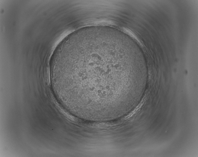 X0000071831079200607211756