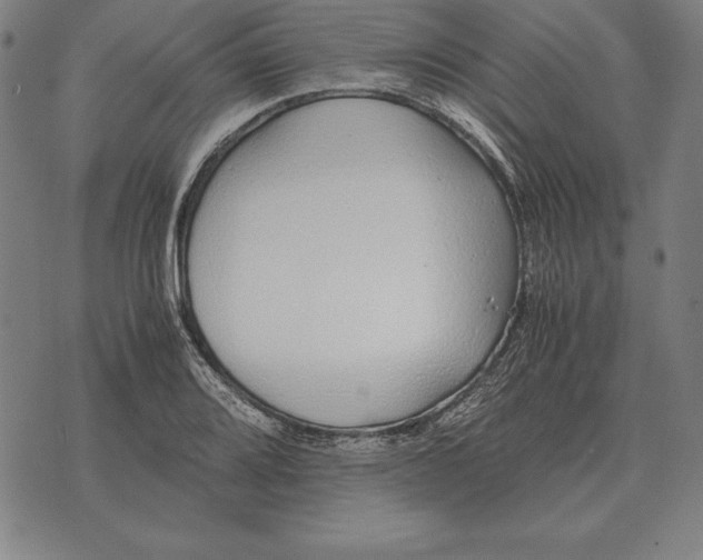 X0000071831080200607211756