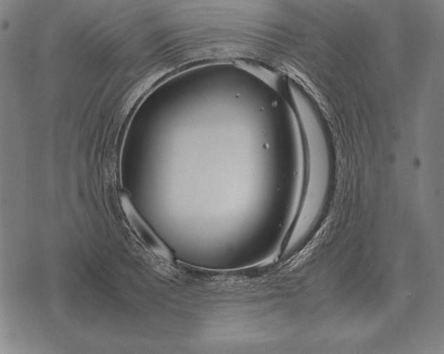 X0000071831081200607211756