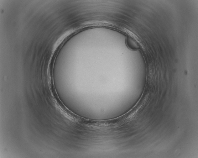 X0000071831082200607211756