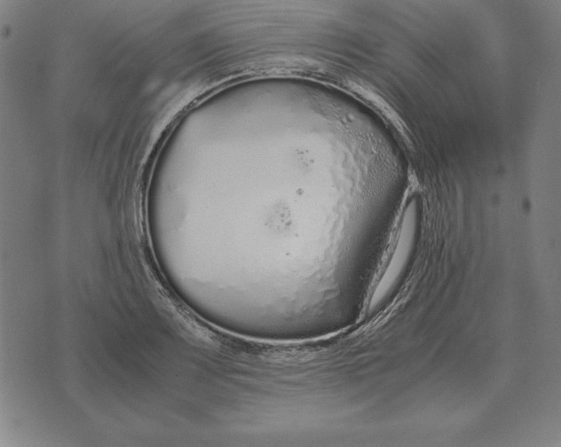 X0000071831083200607211756