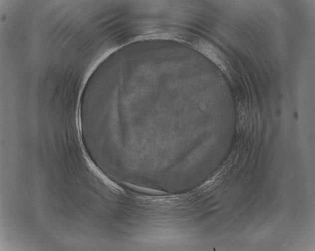 X0000071831084200607211756