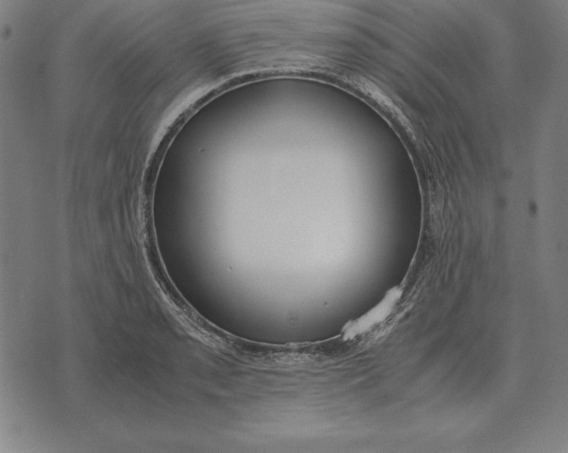 X0000071831085200607211756