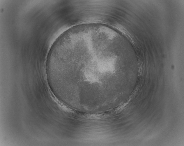 X0000071831086200607211756