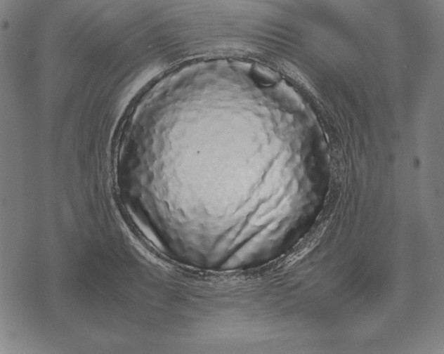 X0000071831087200607211756