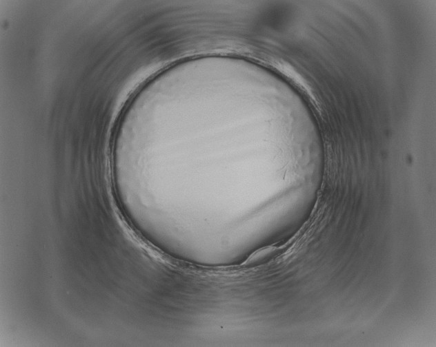 X0000071831088200607211756