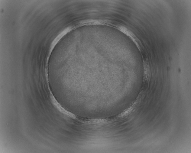 X0000071831090200607211755