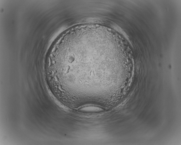 X0000071831091200607211755